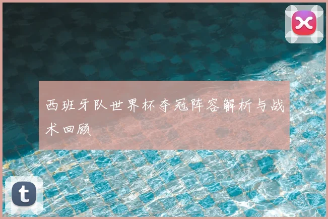 西班牙队世界杯夺冠阵容解析与战术回顾