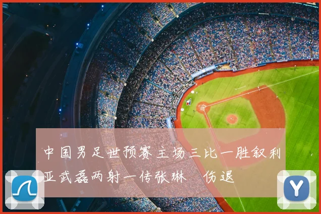 中国男足世预赛主场三比一胜叙利亚武磊两射一传张琳芃伤退