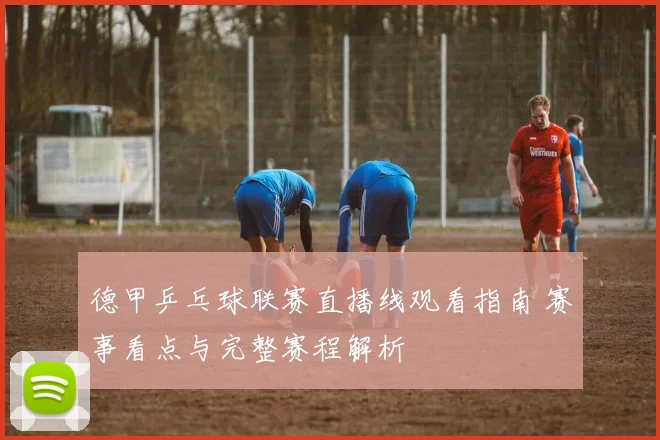 德甲乒乓球联赛直播线观看指南 赛事看点与完整赛程解析