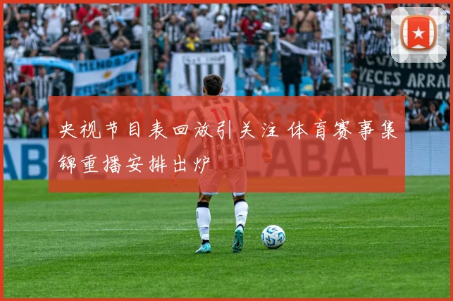 央视节目表回放引关注 体育赛事集锦重播安排出炉