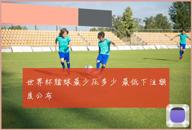 世界杯赌球最少压多少 最低下注额度公布