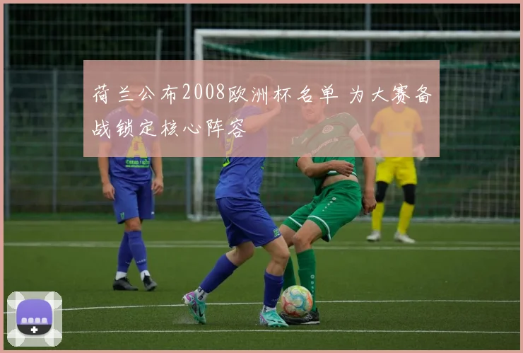 荷兰公布2008欧洲杯名单 为大赛备战锁定核心阵容